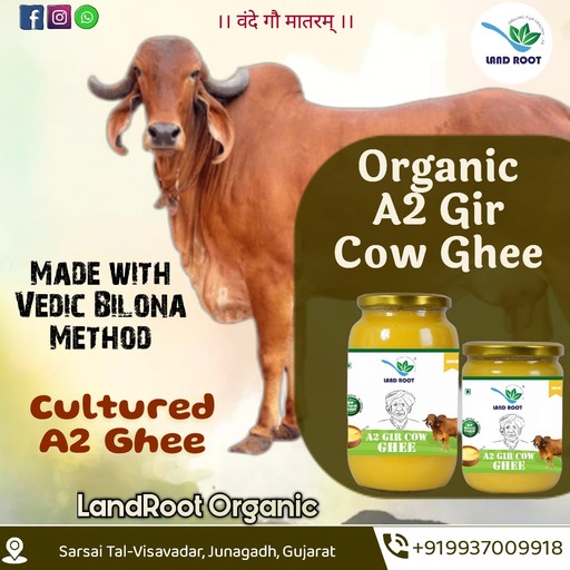 A2 Gir Cow Cultured Ghee (Vedic Bilona Method)